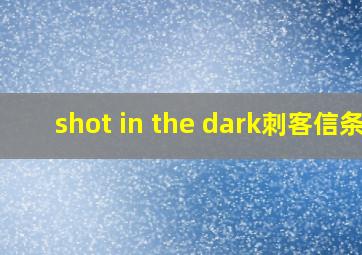 shot in the dark刺客信条